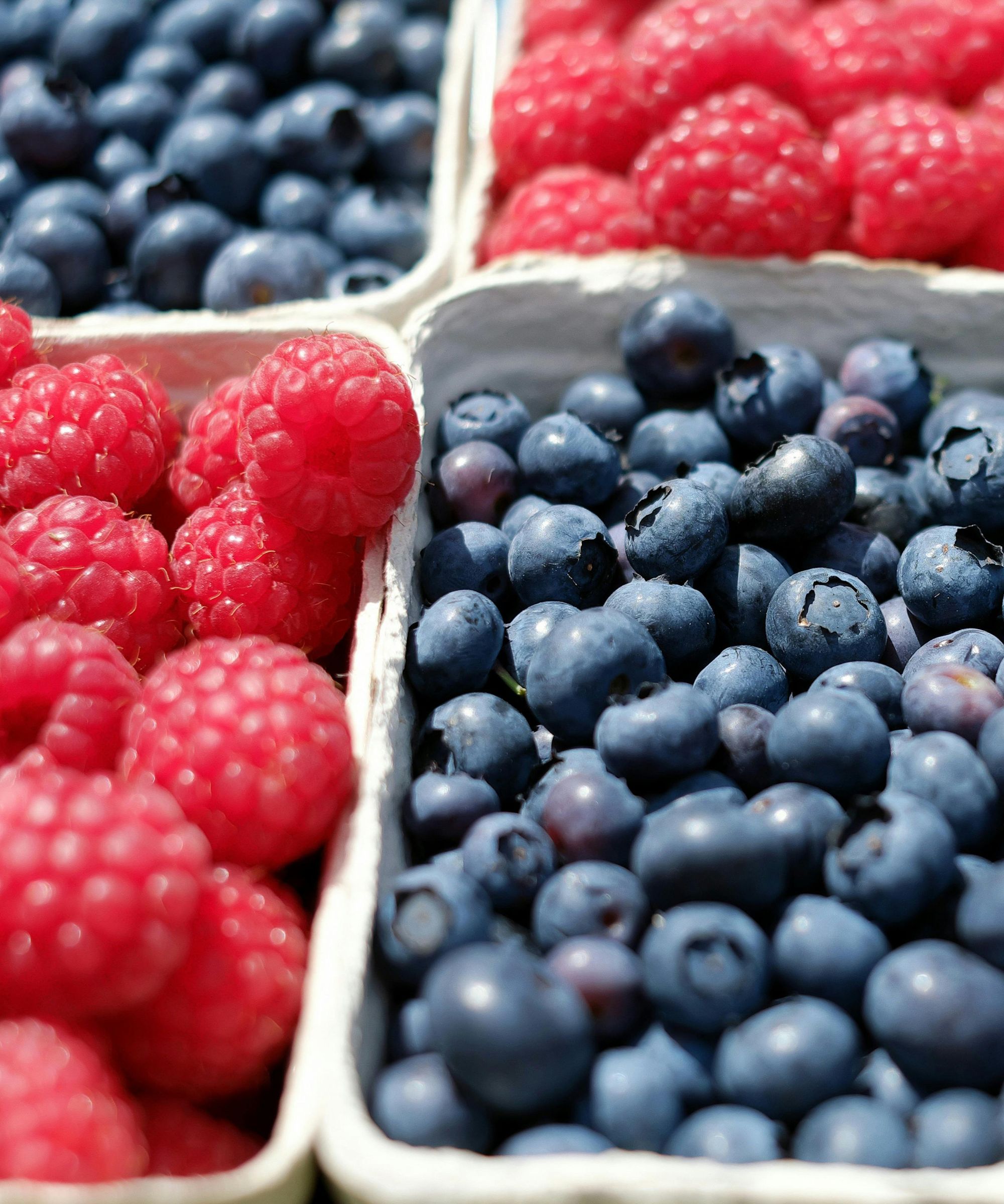 Cardboard cartons of blueberries and raspberries