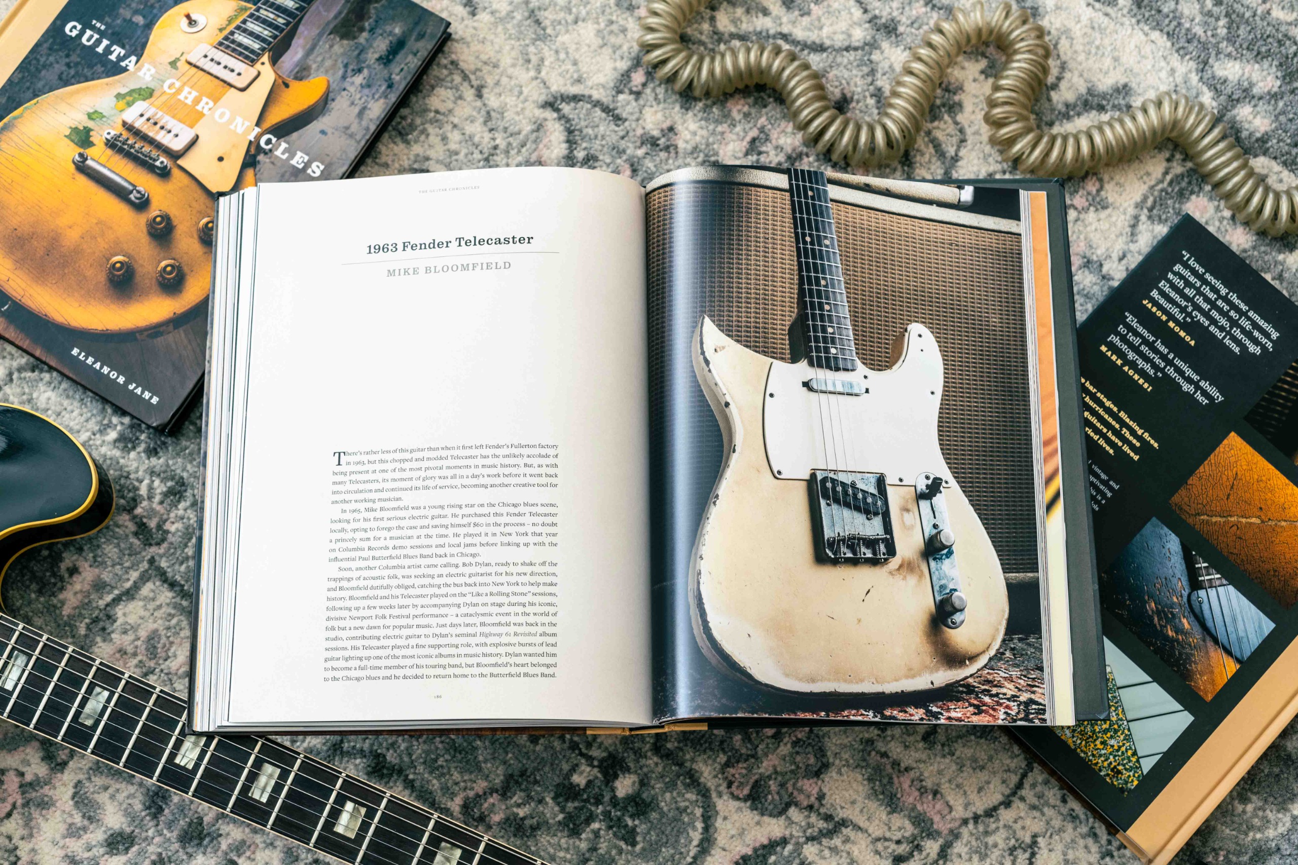 The Guitar Chronicles book by Eleanor Jane