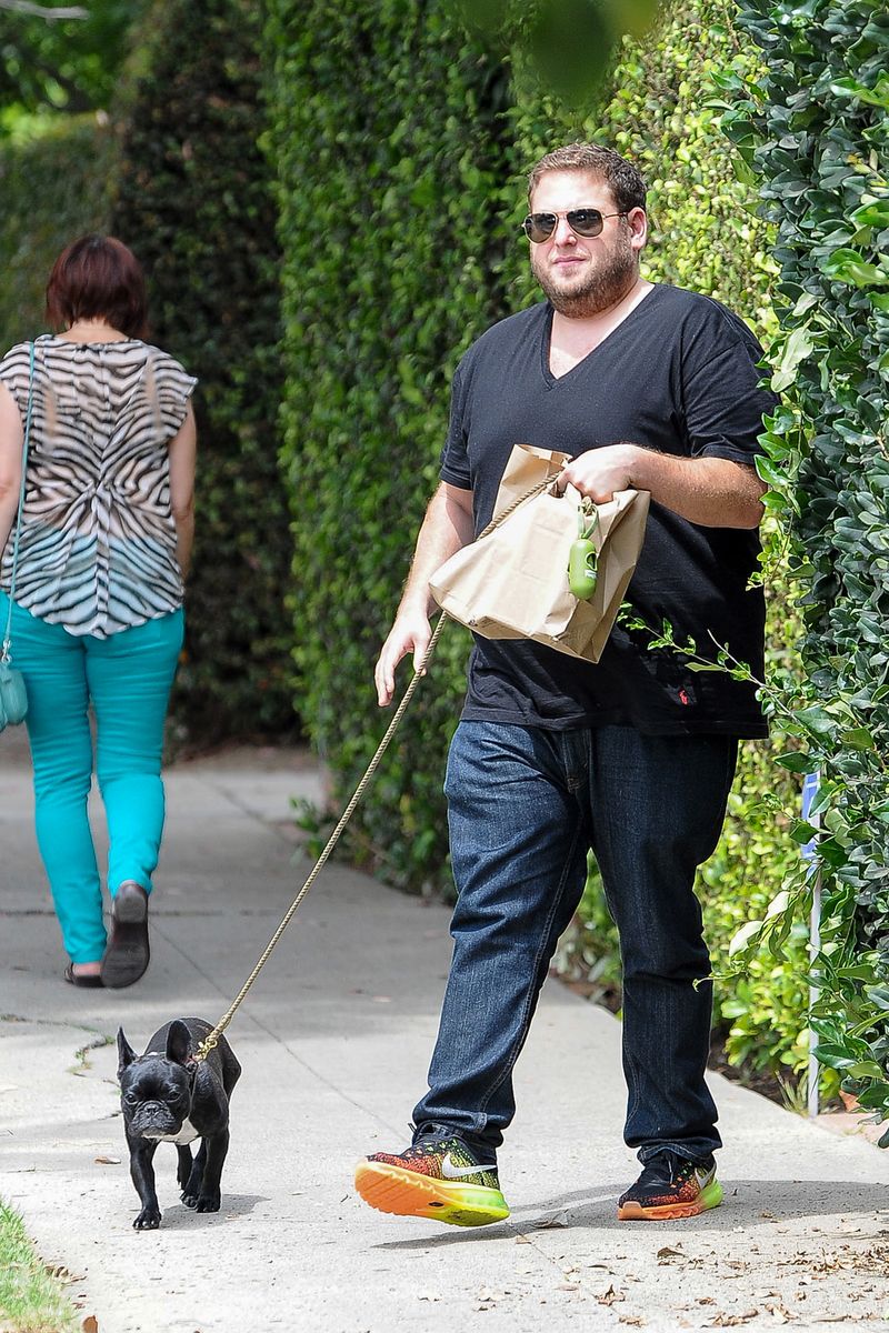 The Weeknd and friends are seen out walking a doberman pinscher on News  Photo - Getty Images