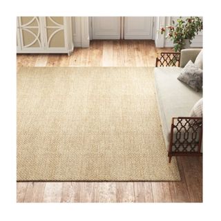 sisal rug in living room 