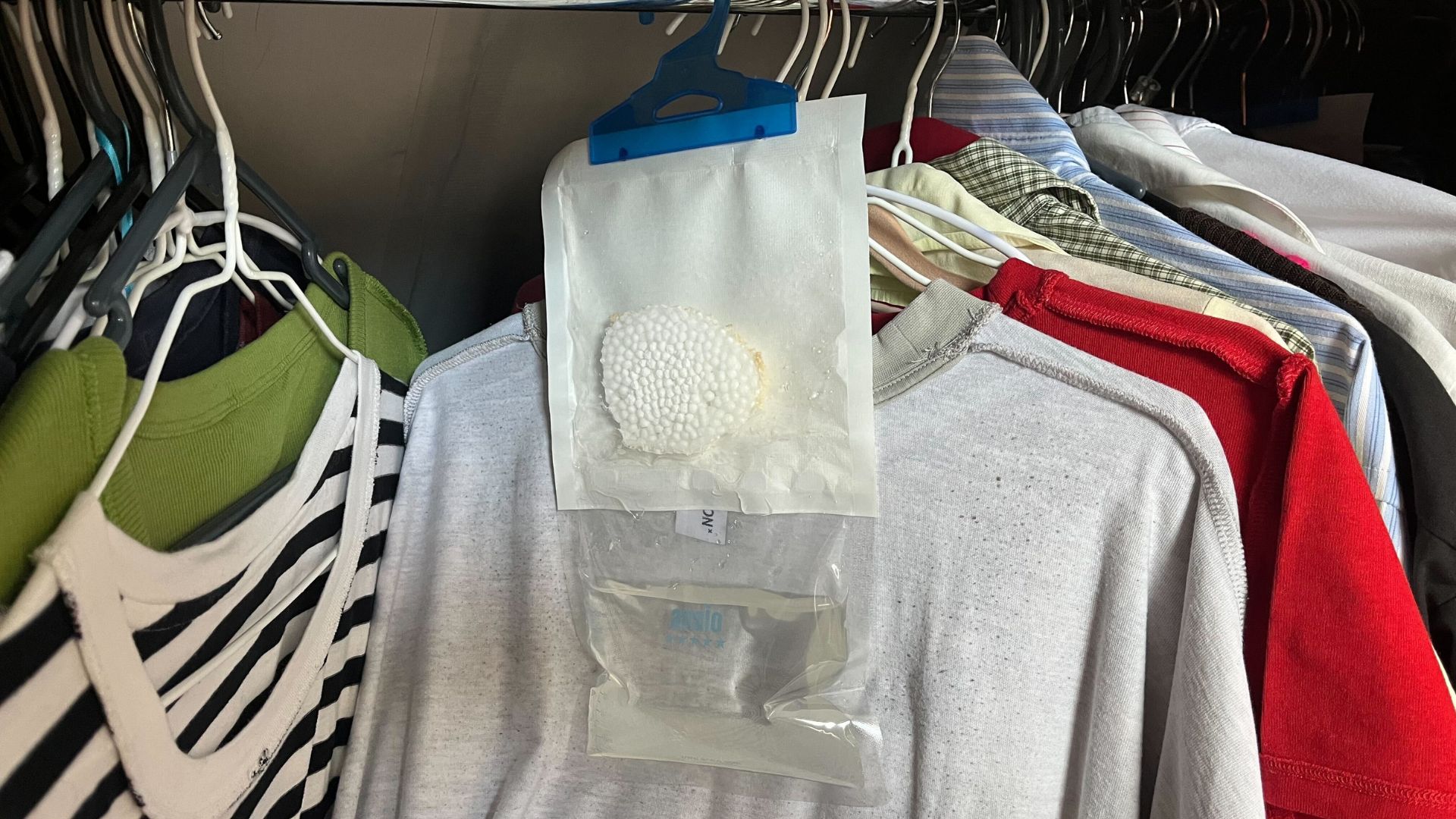 picture of dehumidifier bag hung up in wardrobe