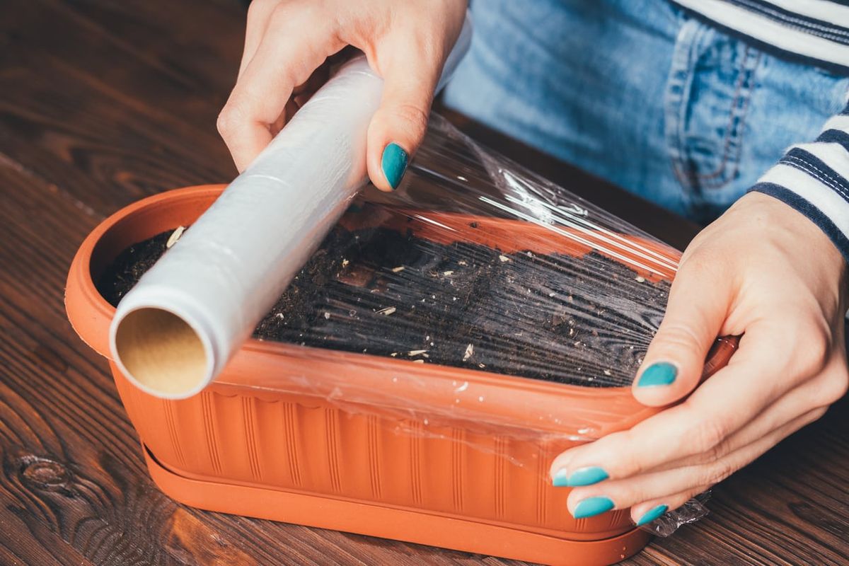 Ditch plastic wrap and use this glass spatter guard in your