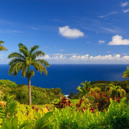 maui hawaii