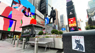 The (Not a) Lost Cat poster on Times Square