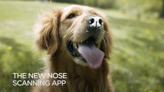 Iams NOSEiD app