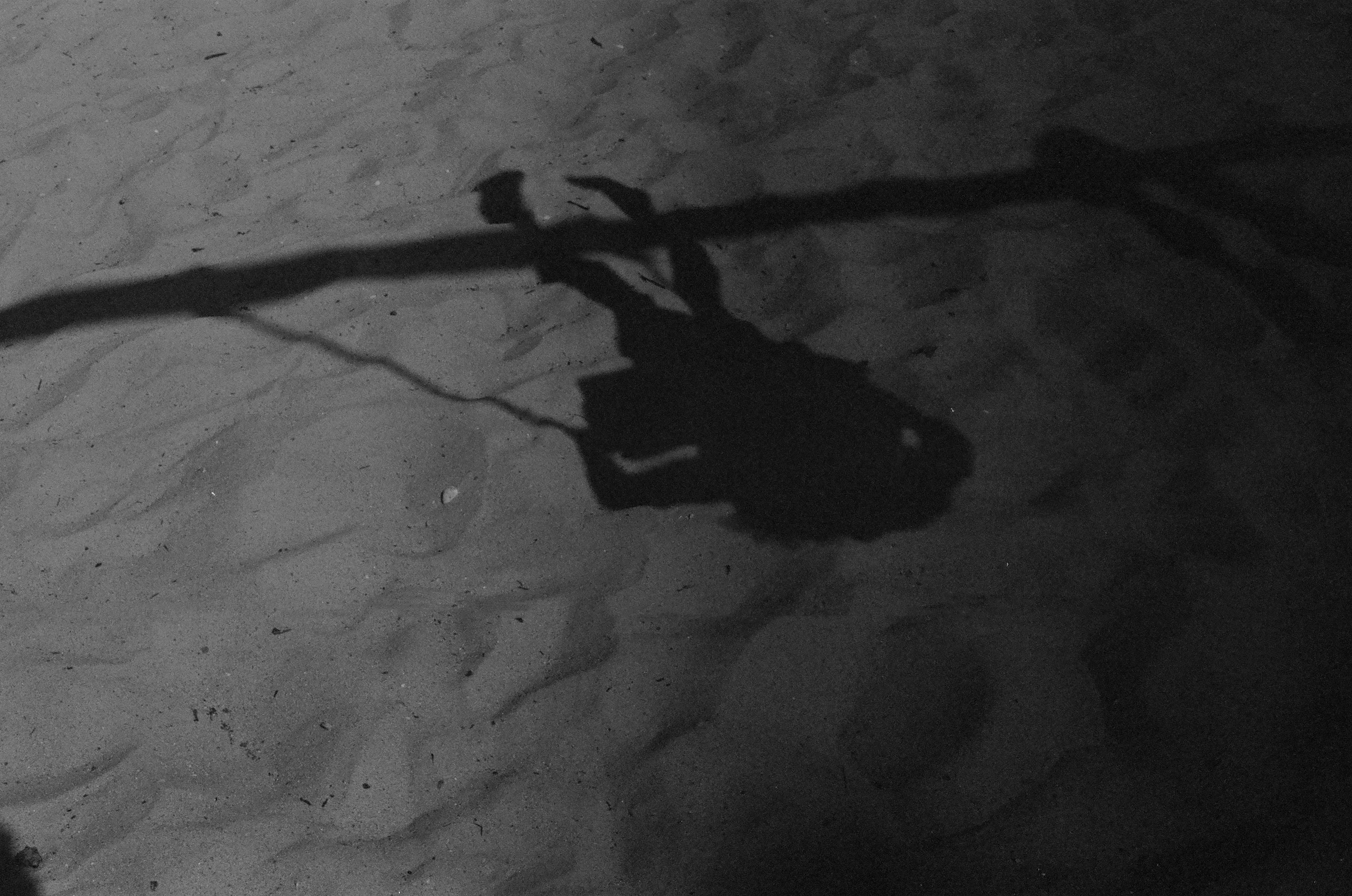 A black and white photograph taken with the Pentax K1000