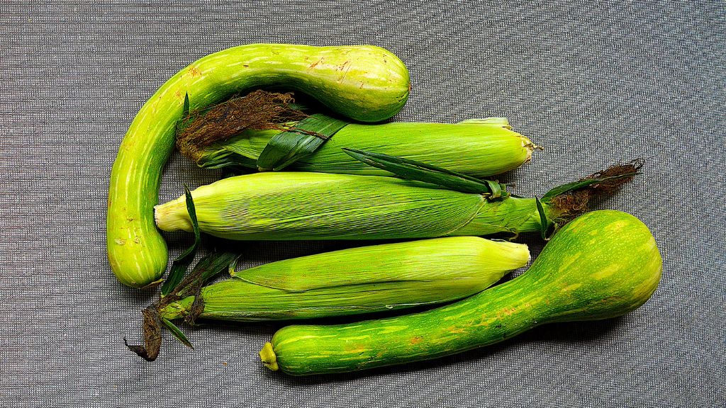 a variety of fresh summer zucchini squash and corn on gray background