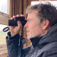 Matt Morris's avatar