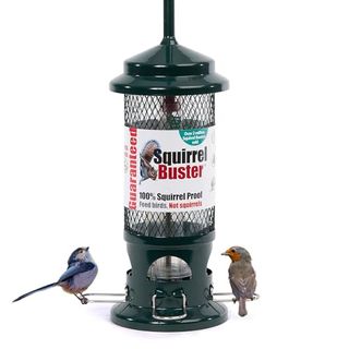 Squirrel Proof Bird Feeder for Seeds - Jacobi Jayne® Squirrel Buster® Seed Bird Feeder – Pigeon Proof Metal Bird Seed Feeder for Wild Birds – Easy Clean Hanging Seed Bird Feeder for Garden Birds