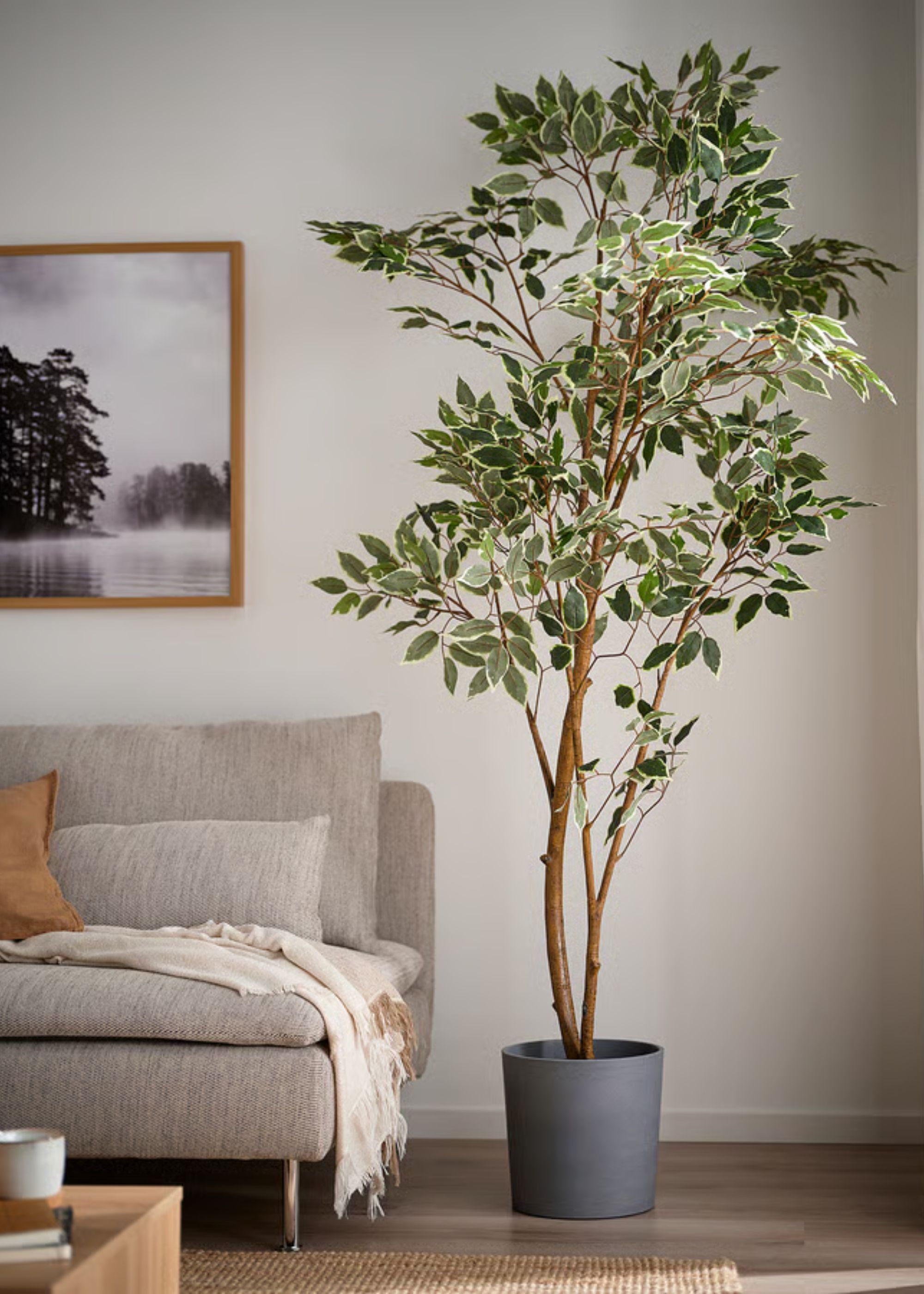 I’m Not Usually Into Artificial Foliage, but the Reviews of IKEA’s New Indoor-Outdoor Weeping Fig Plant Have Me Convinced — It’s Great Value and “Very Realistic”