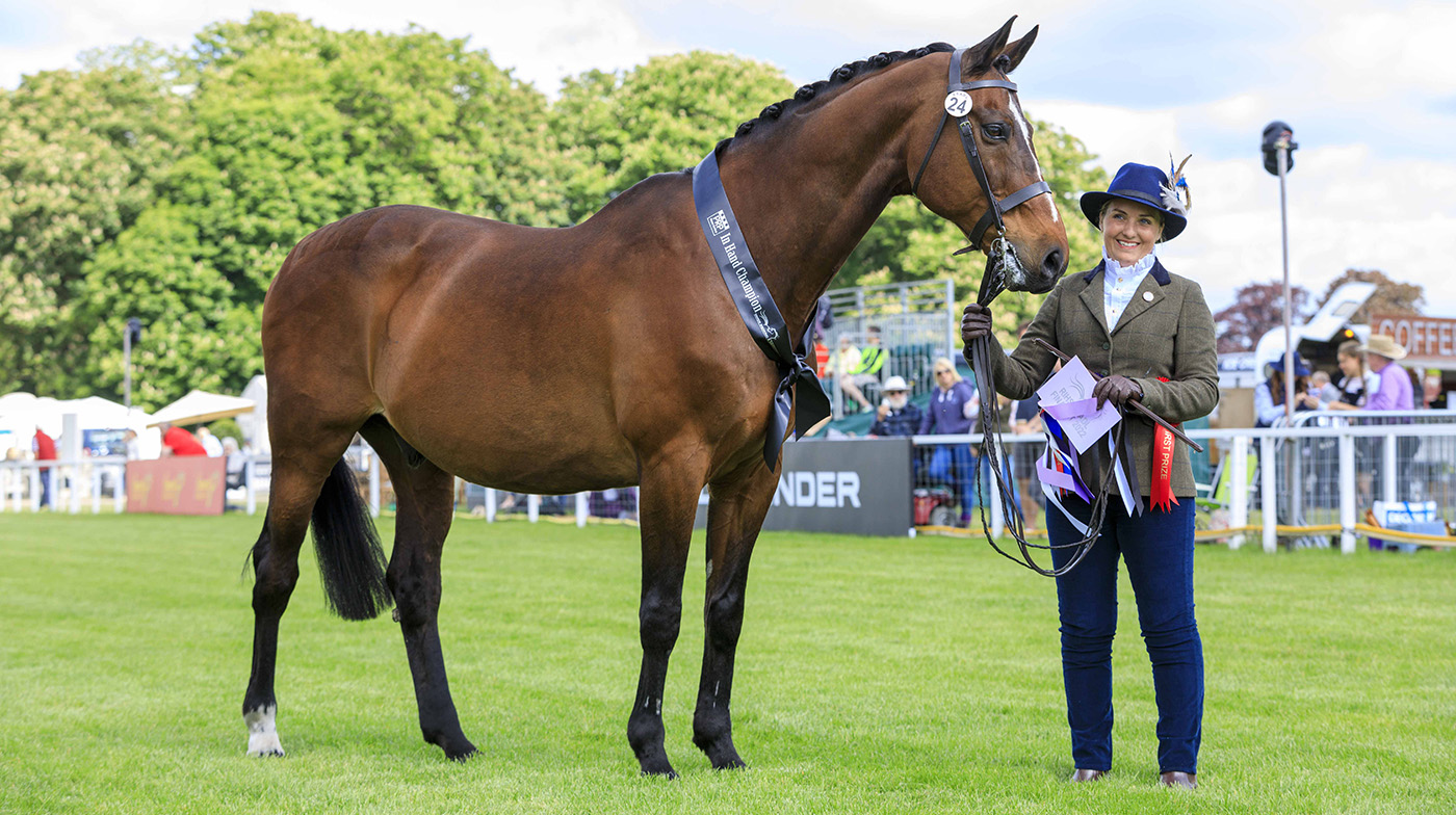 royal windsor senior in-hand championship