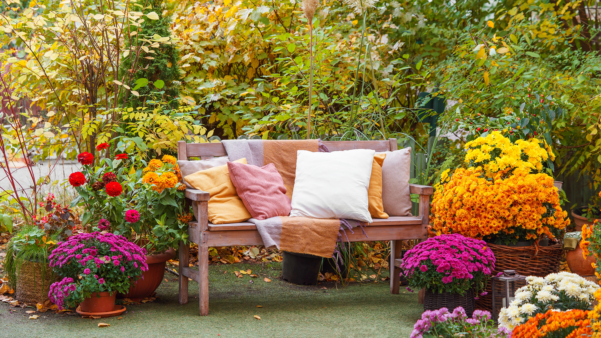 Fall garden with cozy seating