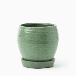 green rounded pot