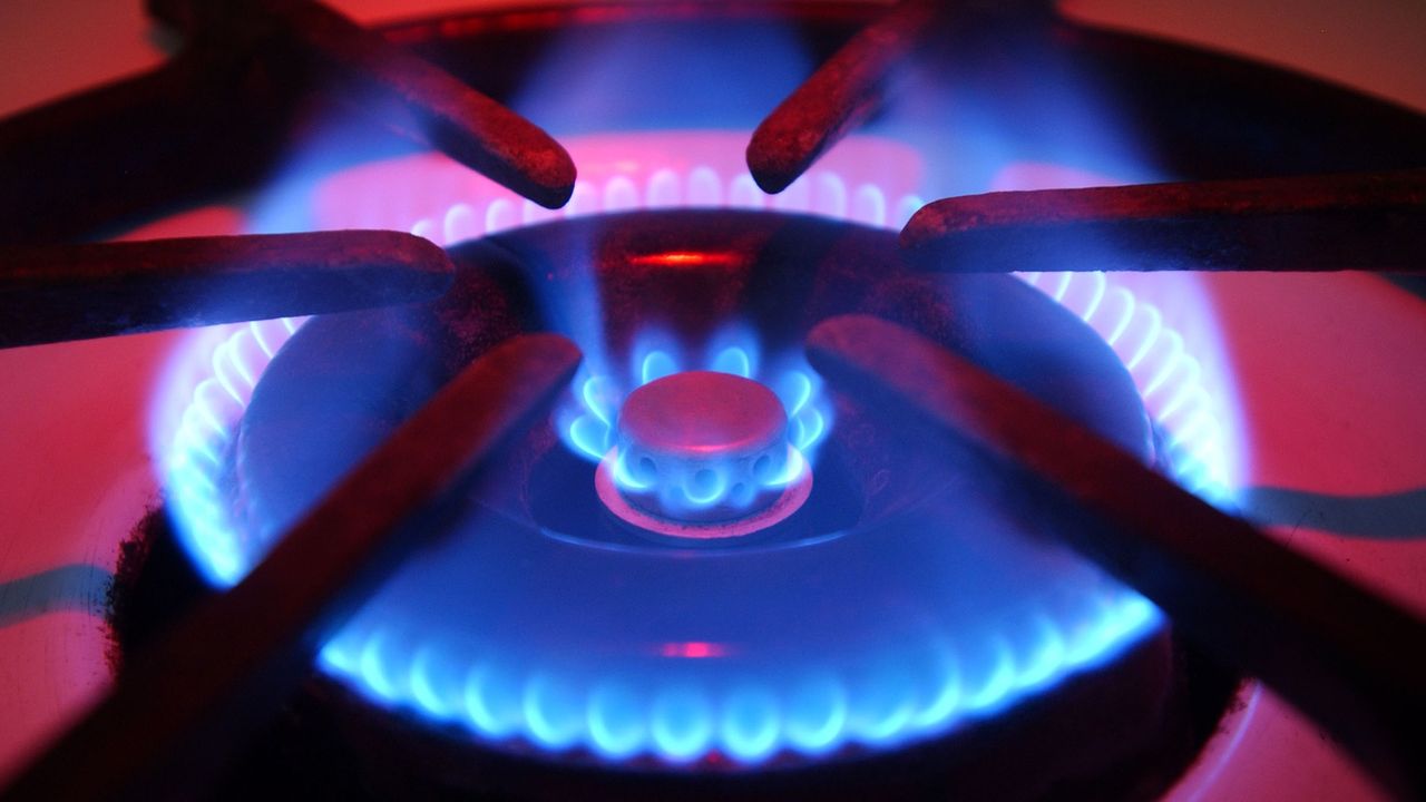 Gas hob flame