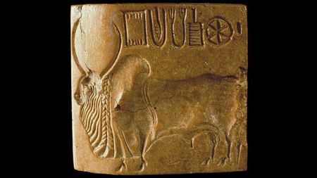 A gold block has carved text in the top right of it with a large bull carved below, all on top of a black background