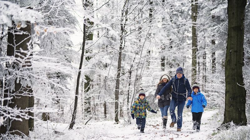 Family walking in snow