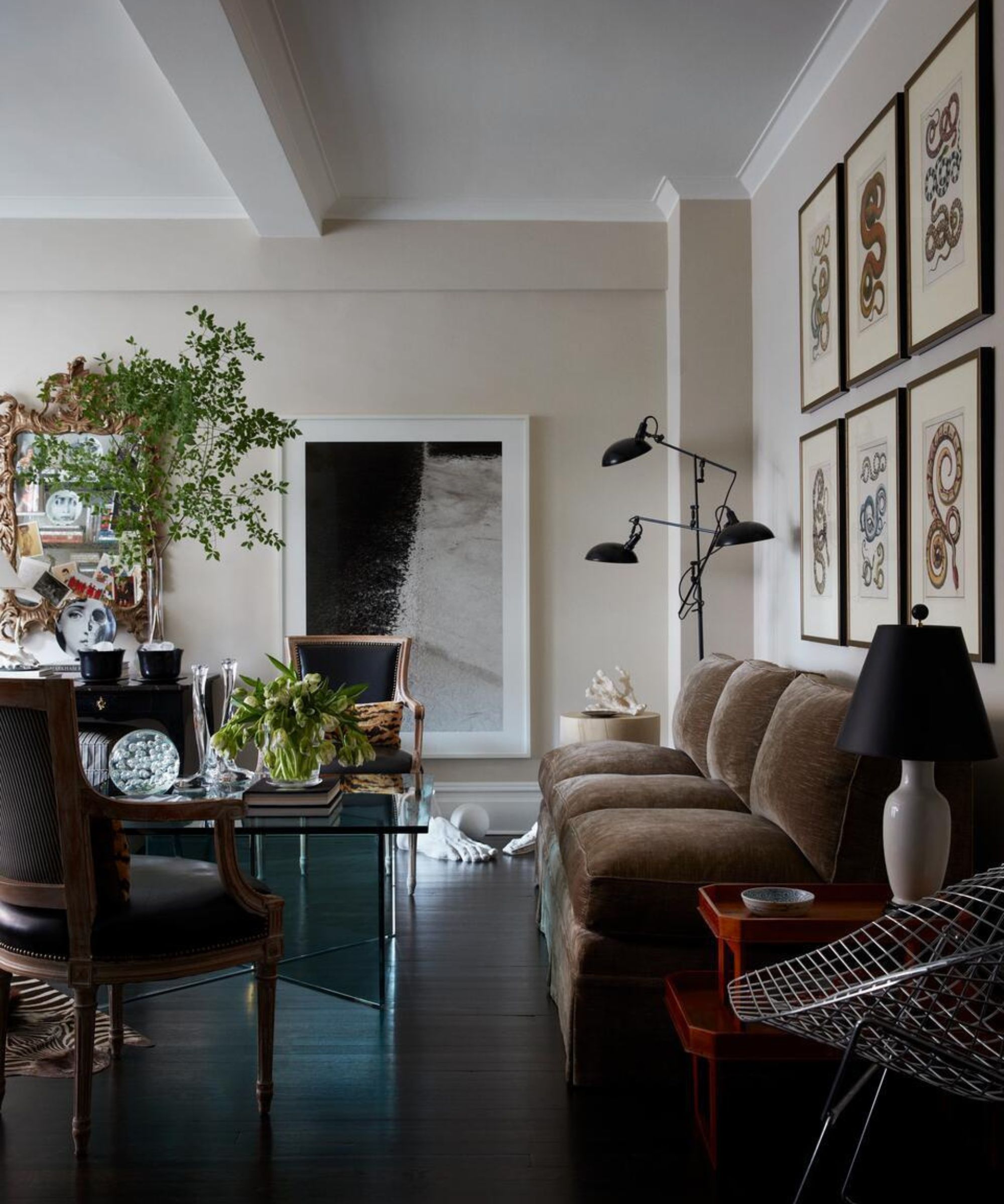 A refined living area with a brown velvet sofa, a glass coffee table, and a gallery wall of snake illustrations, accented by a large black-and-white abstract photograph