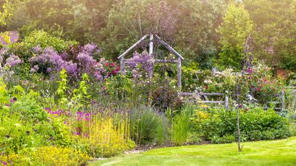 Lawn and colorful flower bed