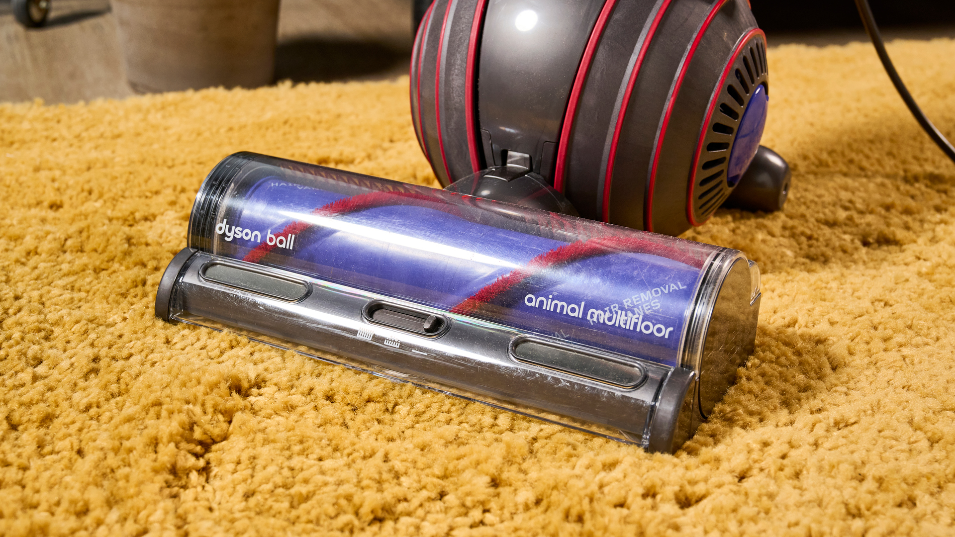Close up of main floorhead on Dyson Ball Animal upright vacuum cleaner