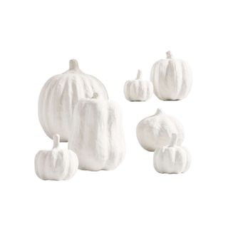 A set of 7 white pumpkins