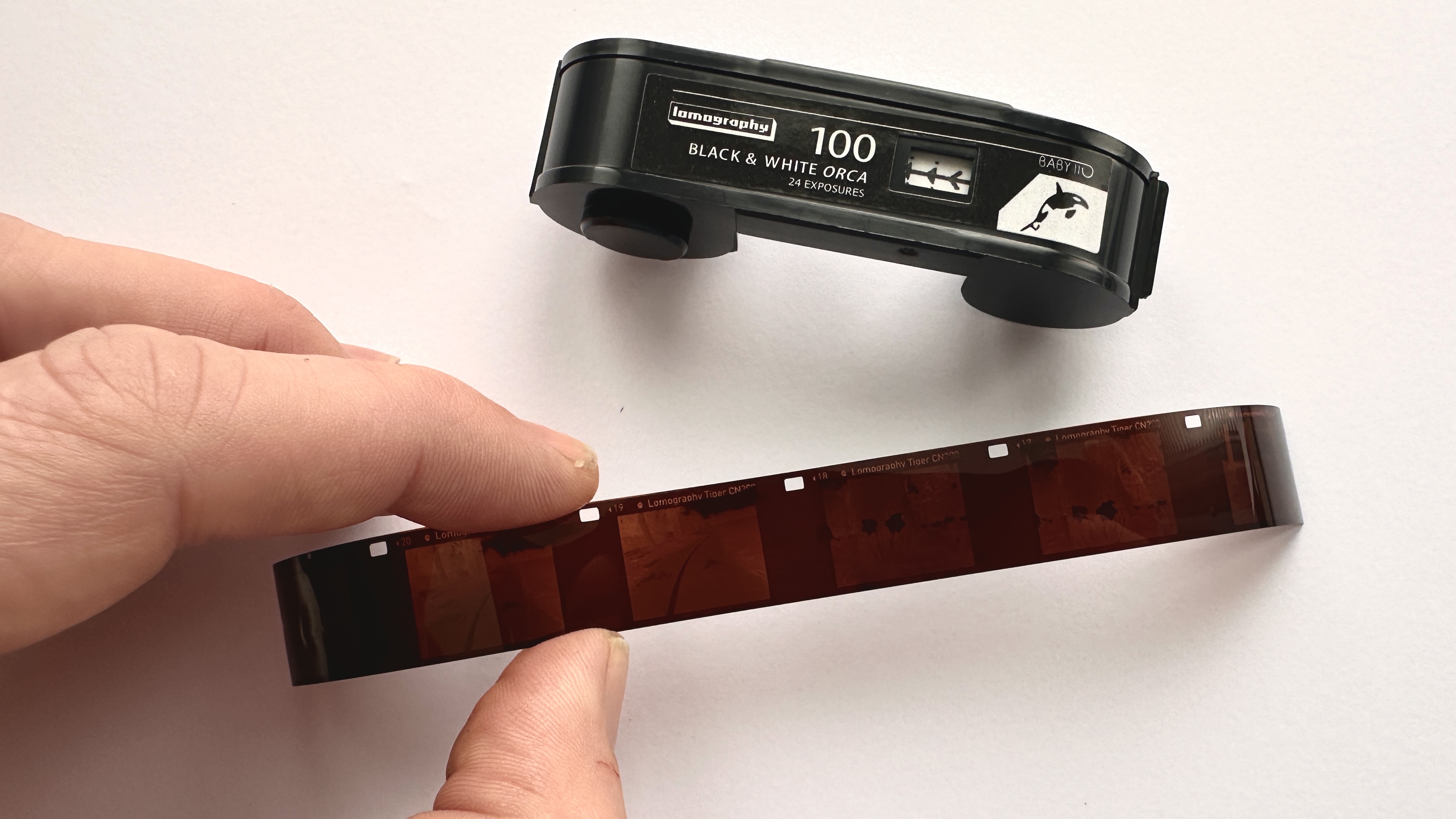 Uma imagem de um rolo de filme 110 e uma tira de 110 negativos revelados de 110 filmes