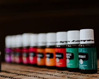 a variety of essential oils in a line against a black background