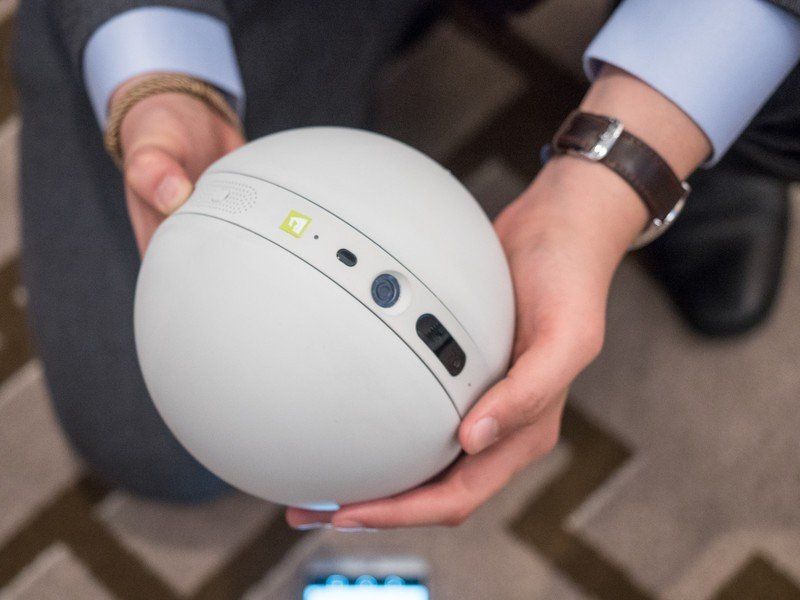 LG Rolling Bot