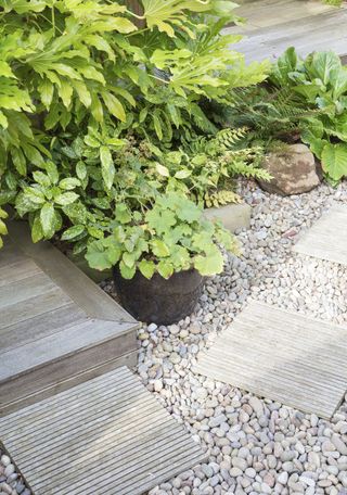 Low maintenance garden ideas: wooden decked stepping stones leading through a gravel pathway