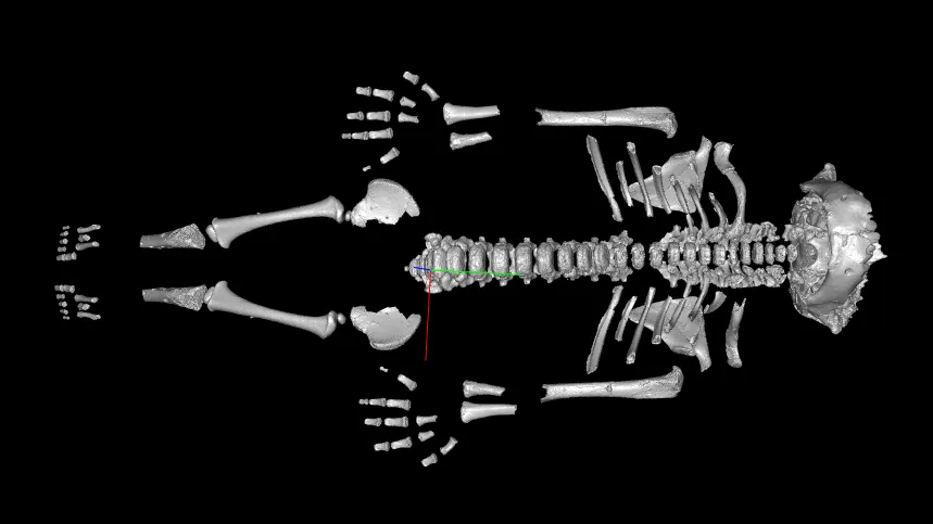 Post image 2
