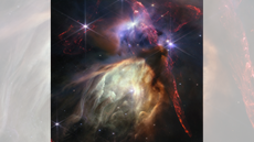 A spectacularly colorful image of stars being born in a field of purple and yellow gas