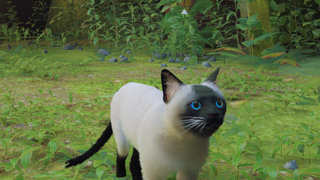 Siamese cat in Stray using a mode to replace the game's ginger cat 