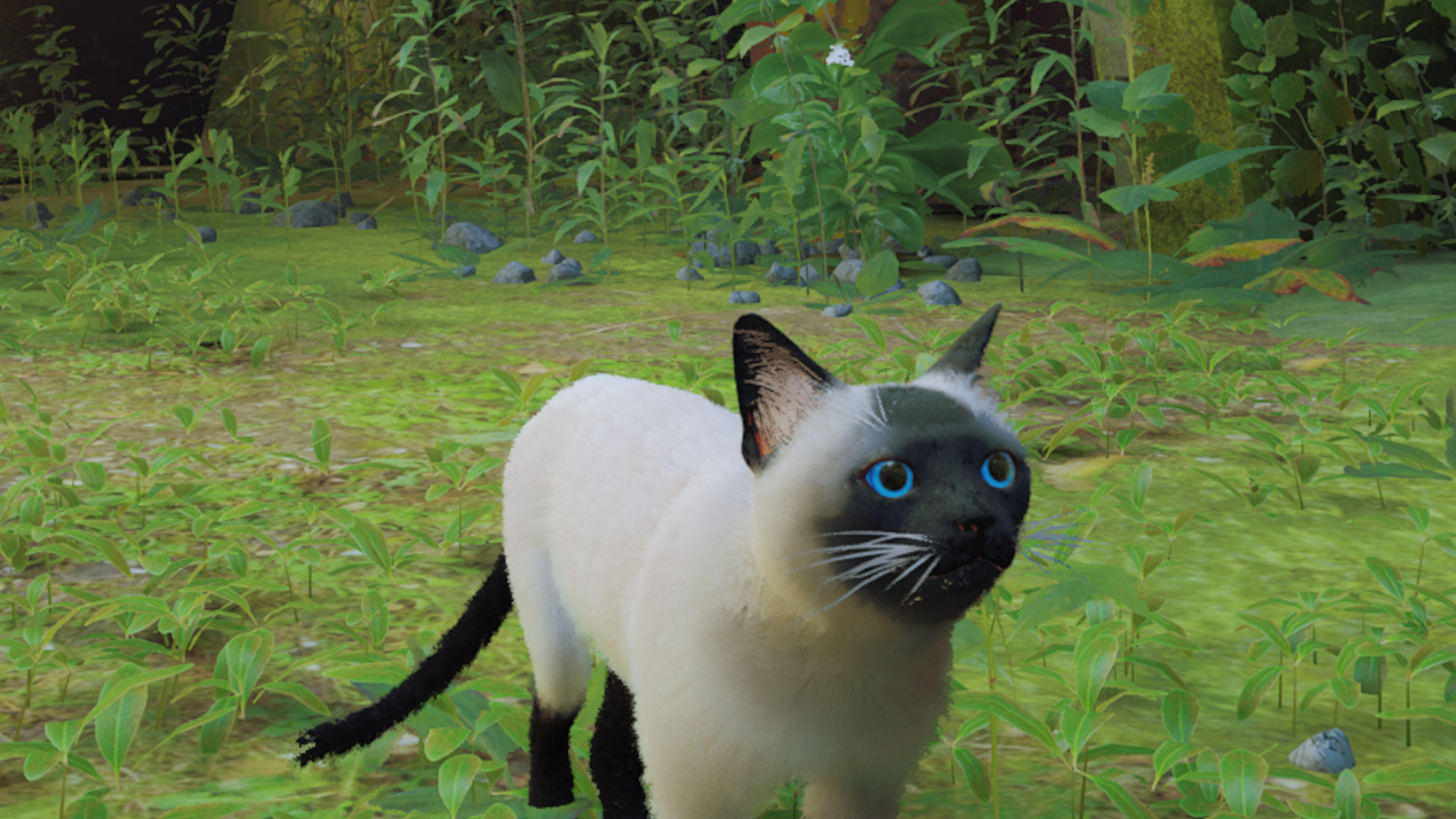 Stray' modders are adding their own cats into the game