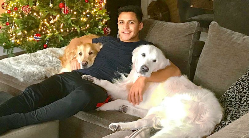 Alexis Sanchez dogs