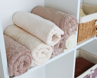Rolled towels in white shelving unit