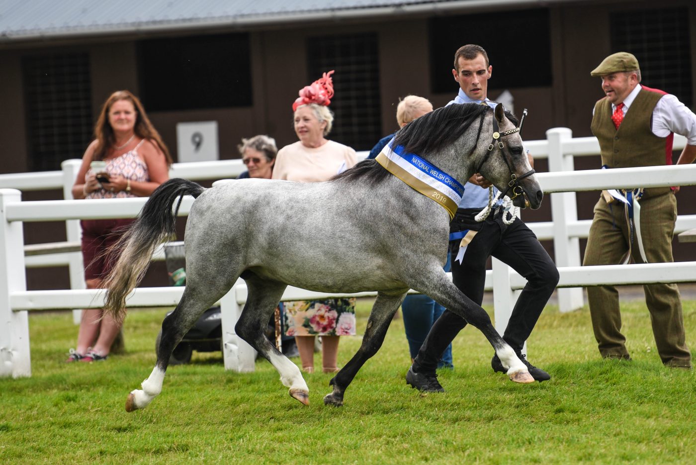 Betws-Odin-NationalWelsh19-Inhand-PM-543_329996011_535224982-e1572360788592.jpg