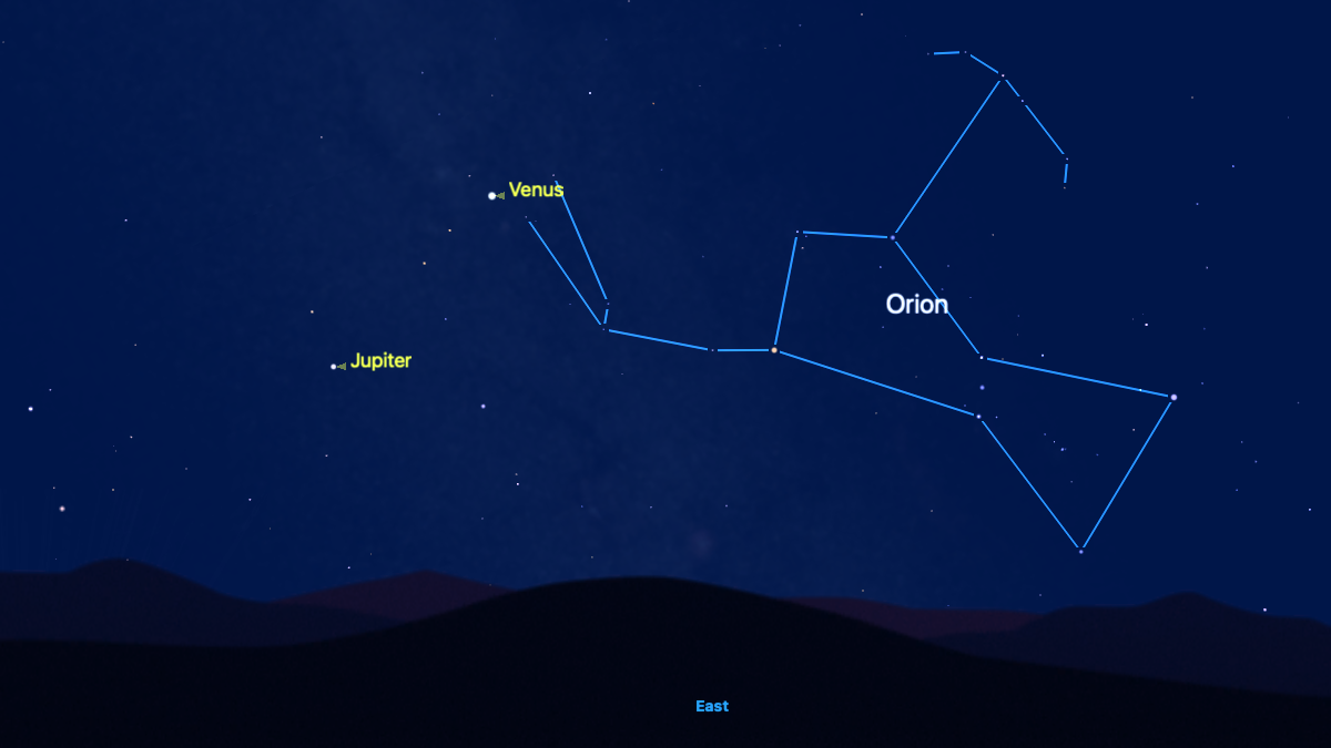 The position of Venus is shown above the eastern horizon in the predawn hours of Aug. 1 against a simulated night sky. Jupiter is labelled to its lower left, while the stars of the constellation Orion are visible to the lower right, joined by a blue line.