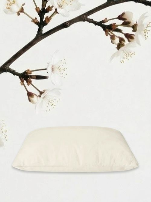 Organic Pillow