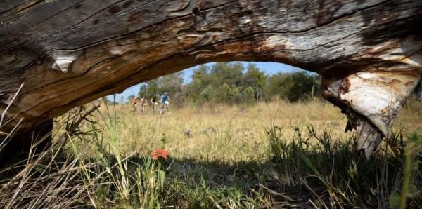 The leaders make their way through the reserve