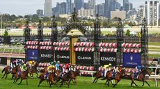 Melbourne Cup CT scans