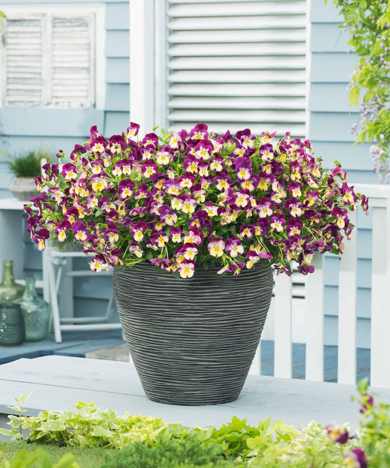 Winter planter ideas 12 coldweather containers that will look good