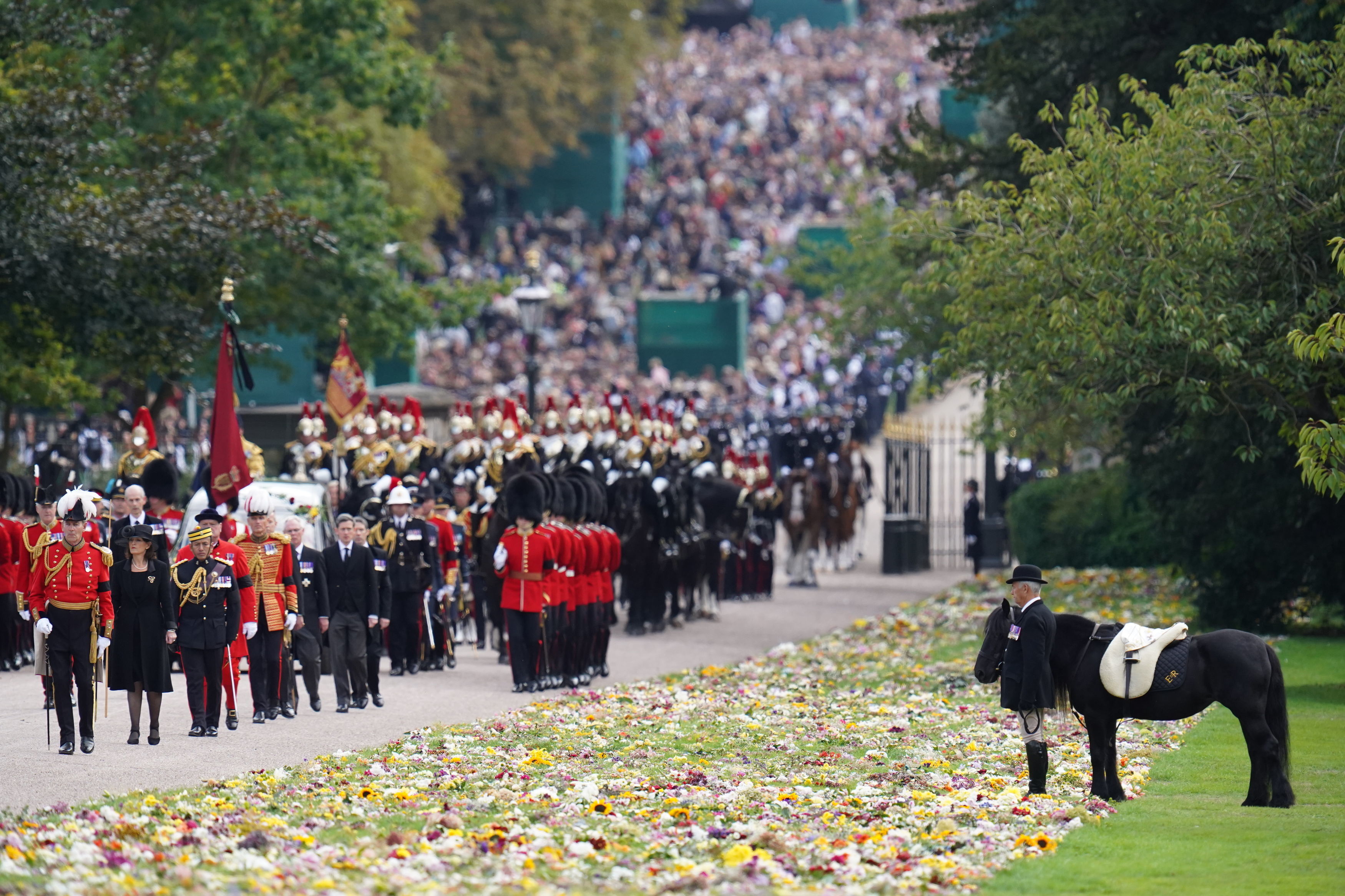 Emma, the monarch's fell pony, stands as the Ceremonial Procession of the coffin of Queen Elizabeth II arrives at Windsor Castle for the Committal Service at St George's Chapel on September 19, 2022 in Windsor, England. The committal service at St George's Chapel, Windsor Castle, took place following the state funeral at Westminster Abbey