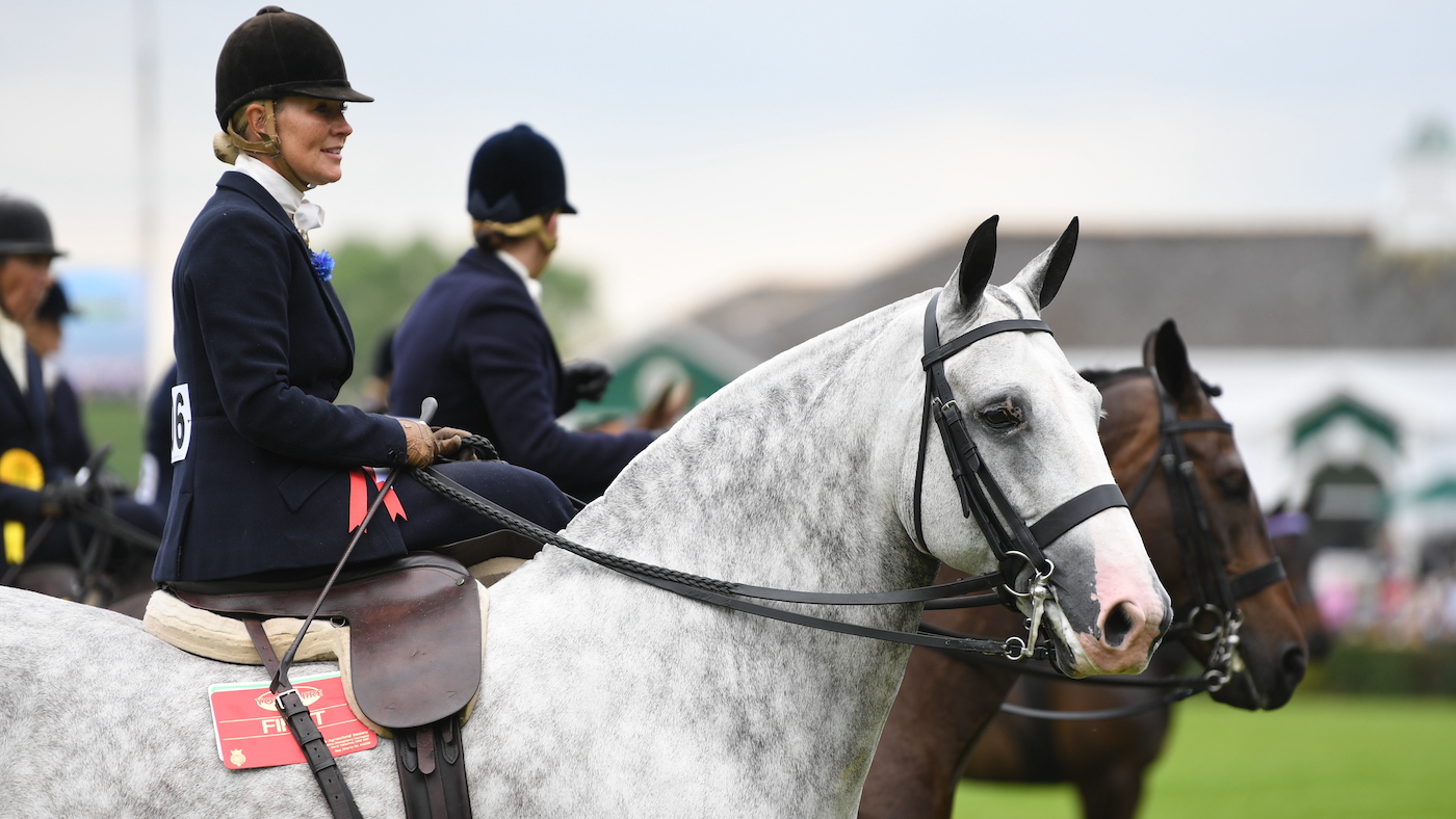 Ladies show horse class riding side-saddle