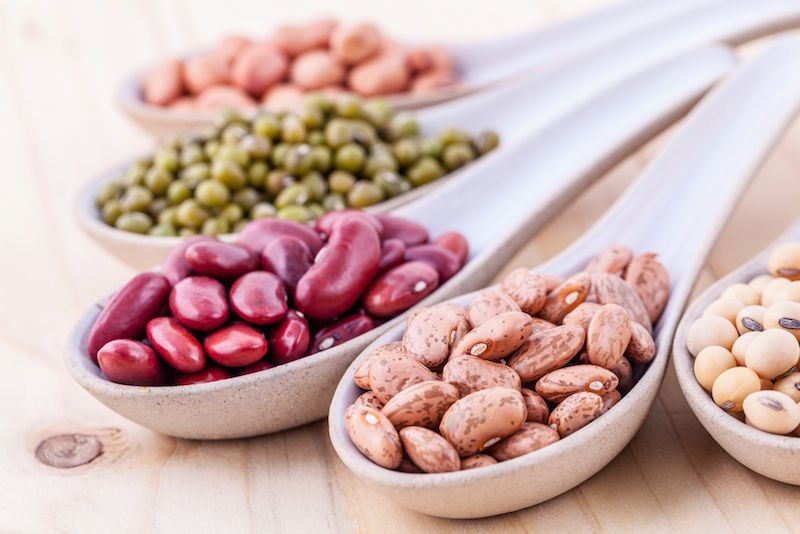 Spoonfuls of different legumes