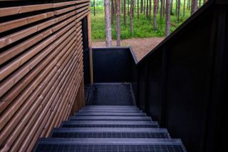staircase at Estonian treehouse Piil by architecture studio Arsenit