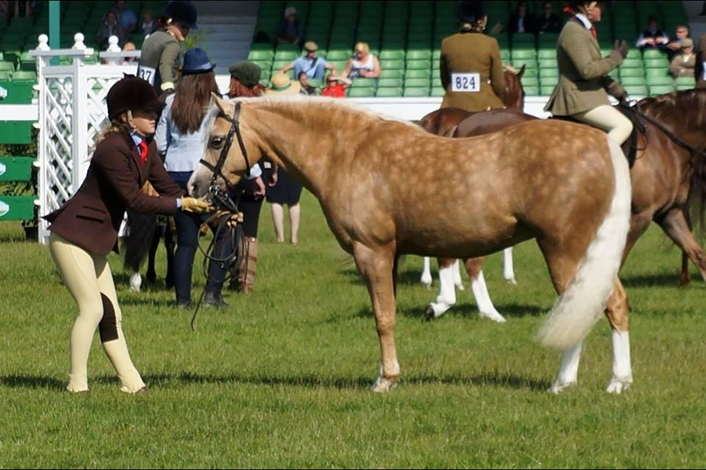Milford Fair Breeze and Rowen Hilton are off to HOYS