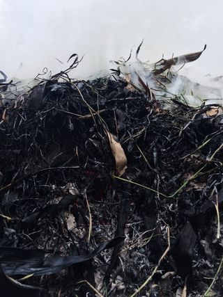 a steamy compost heap in a yard