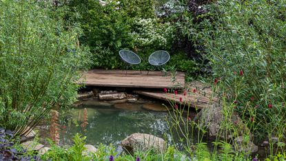 How to design a sensory garden