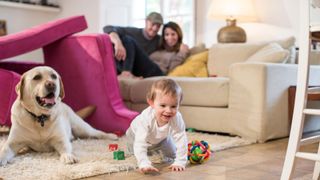 Parents smile in background while baby crawls across floor next to jealous dog