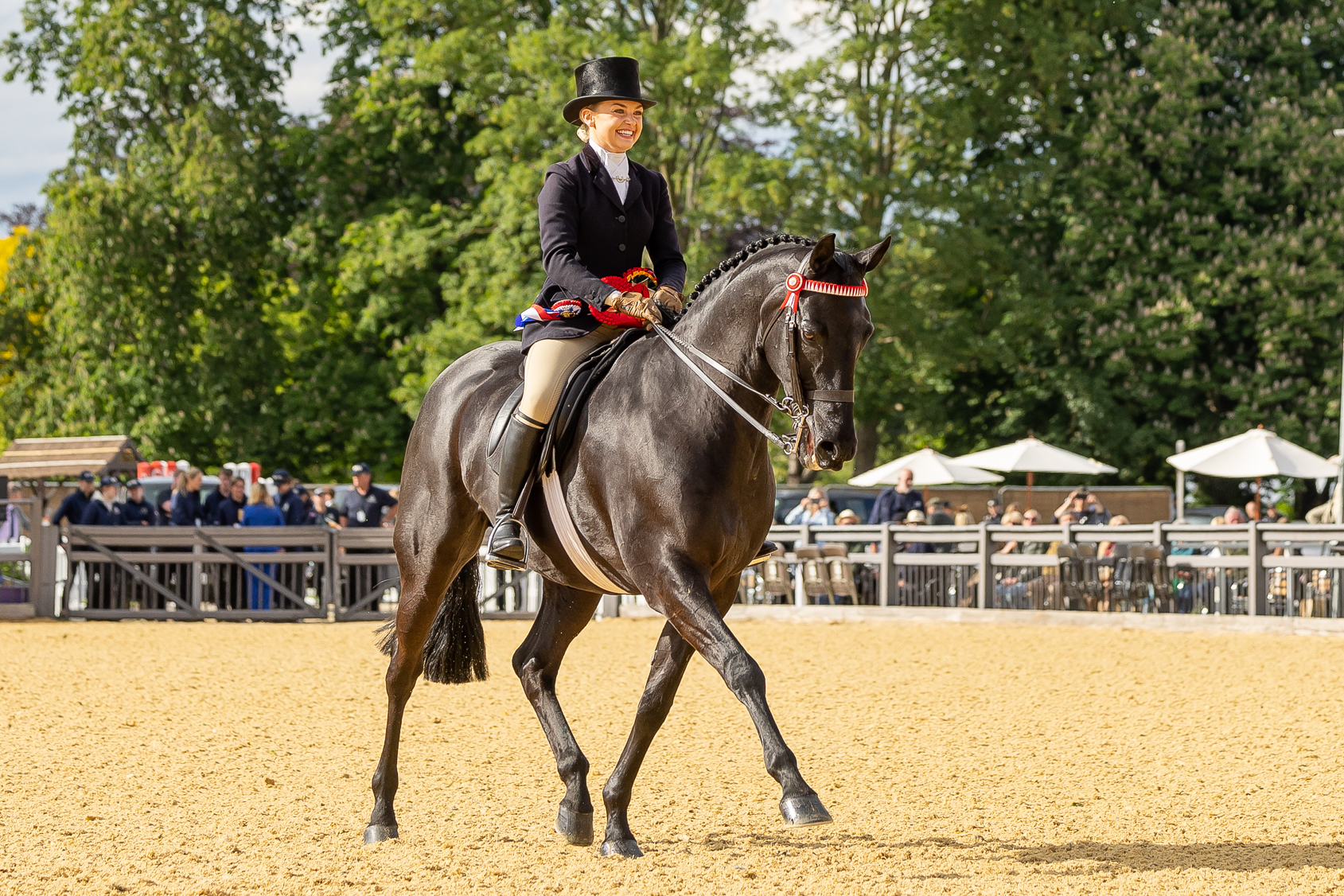 Laura Nicholson and Absolutely Lovely trot out of The Count Robert Orssich Hack Championship at Royal Windsor Horse Show