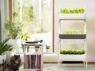 hydroponic gardening floor system with vegetables